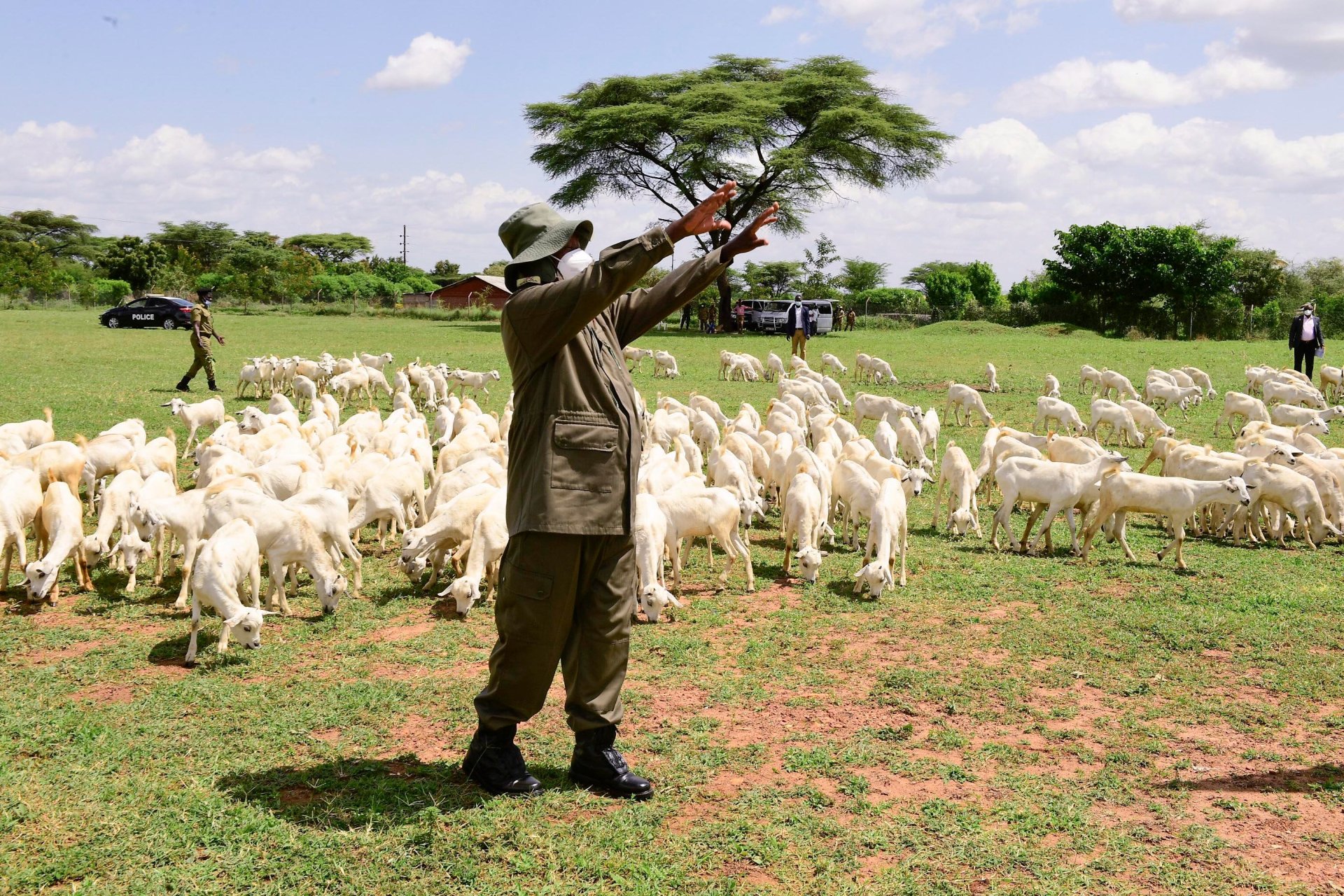 gov-t-adopts-improved-goats-rearing-project-in-karamoja-to-discourage