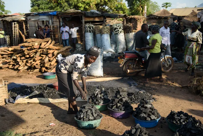 Charcoal Prices shoot Up